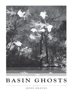 cover image of Basin Ghosts